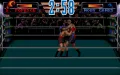 3D World Boxing thumbnail #11