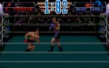 3D World Boxing thumbnail #12