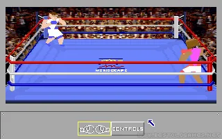4D Sports Boxing screenshot 3