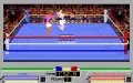 4D Sports Boxing Miniaturansicht 5