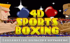 4D Sports Boxing vignette