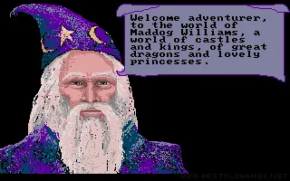 The Adventures of Maddog Williams in the Dungeons of Duridian screenshot 2