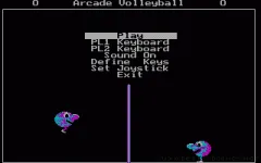 Arcade Volleyball zmenšenina
