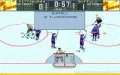 Brett Hull Hockey '95 vignette #5