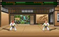 Budokan: The Martial Spirit miniatura #3