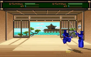 Budokan: The Martial Spirit Screenshot 4