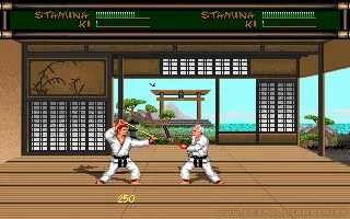 Budokan: The Martial Spirit captura de pantalla 5