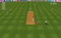 Cricket 97 zmenšenina #6