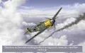 Dogfight: 80 Years of Aerial Warfare vignette #9