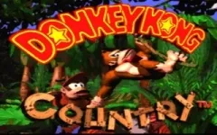 Donkey Kong Country vignette