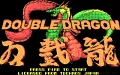 Double Dragon vignette #1