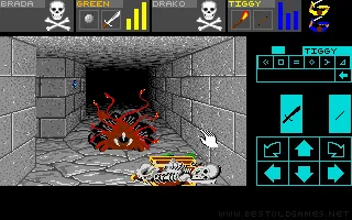 Dungeon Master captura de pantalla 5
