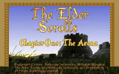 Elder Scrolls: Arena, The miniatura