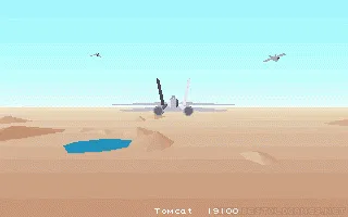 F-14 Tomcat captura de pantalla 4