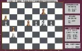 Grandmaster Chess miniatura #2