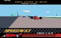 Indianapolis 500: The Simulation Miniaturansicht #9