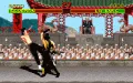 Mortal Kombat zmenšenina #4