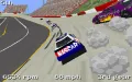 NASCAR Racing vignette #10