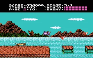 Ninja Gaiden screenshot 2