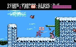 Ninja Gaiden screenshot 3