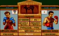 Panza Kick Boxing miniatura #2