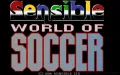 Sensible World of Soccer zmenšenina #1