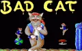 Street Cat (Bad Cat) thumbnail #1