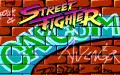 Street Fighter zmenšenina #1