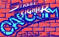 Street Fighter vignette #11