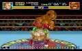 Super Punch-Out!! thumbnail #8