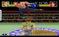 Super Punch-Out!! thumbnail #13