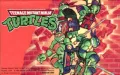 Teenage Mutant Ninja Turtles 2 zmenšenina 1