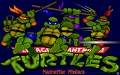 Teenage Mutant Ninja Turtles: Manhattan Missions thumbnail #1