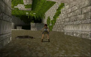 Tomb Raider obrázek