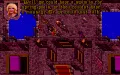 Ultima VII: The Black Gate zmenšenina #22