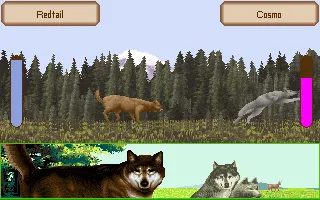 Wolf screenshot