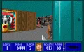 Wolfenstein 3D zmenšenina #4